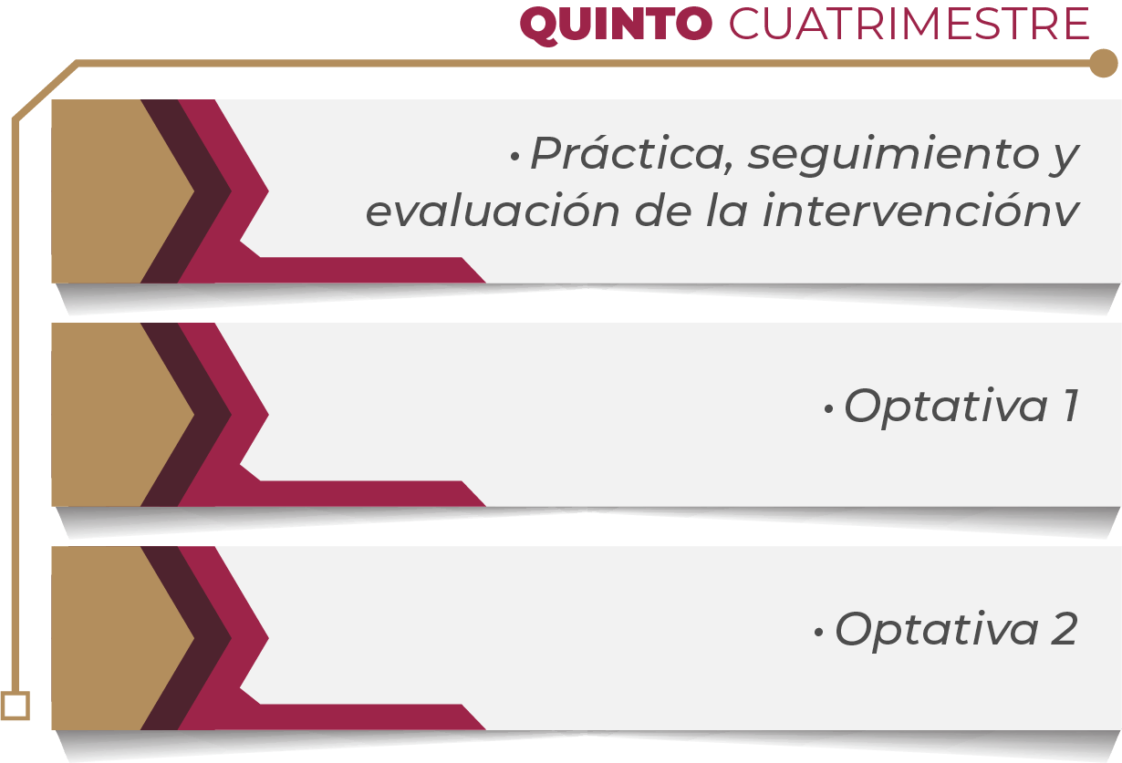 MAPA CURRICULAR GESTIÓN